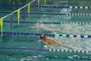 开云中国-全国游泳冠军赛新星频出成绩突破预期,全国游泳冠军赛2021成绩